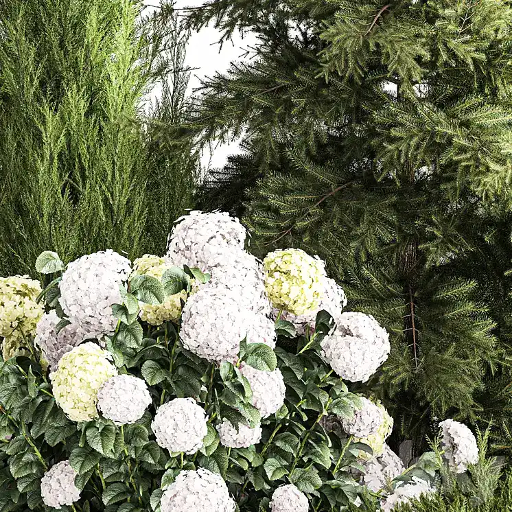 مدل سه بعدی گیاهان باغچه 12 - 9