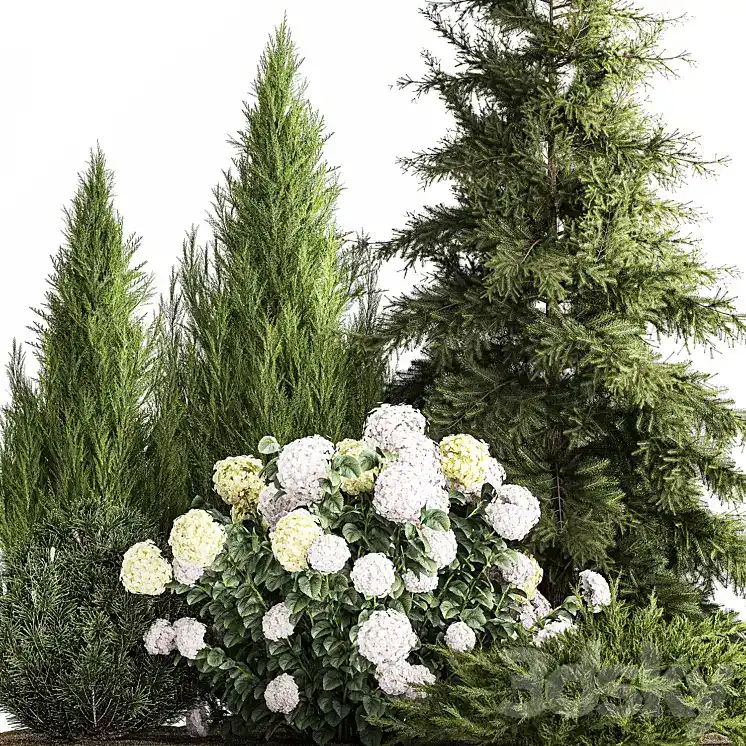 مدل سه بعدی گیاهان باغچه 12 - 11