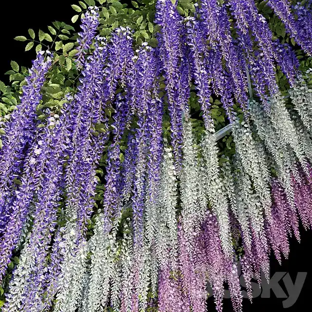 آبجکت گیاهان باغچه 11 - 9