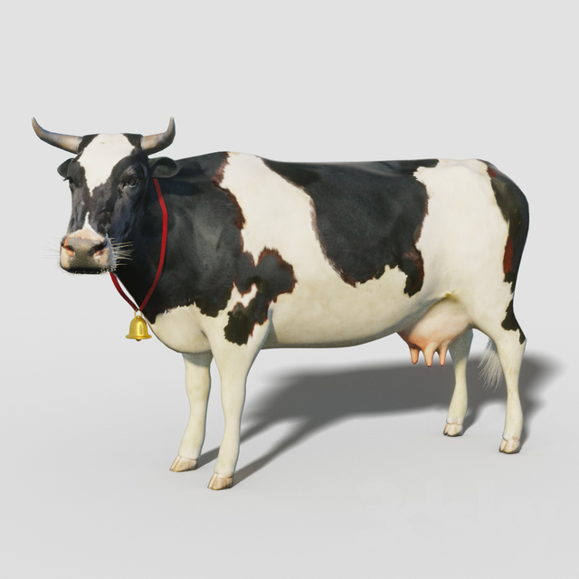 مدل سه بعدی حیوانات - 15