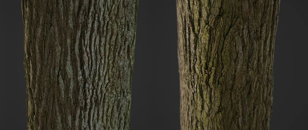 دانلود تکسچر تایل فتوگرامتری پوست درخت - 4