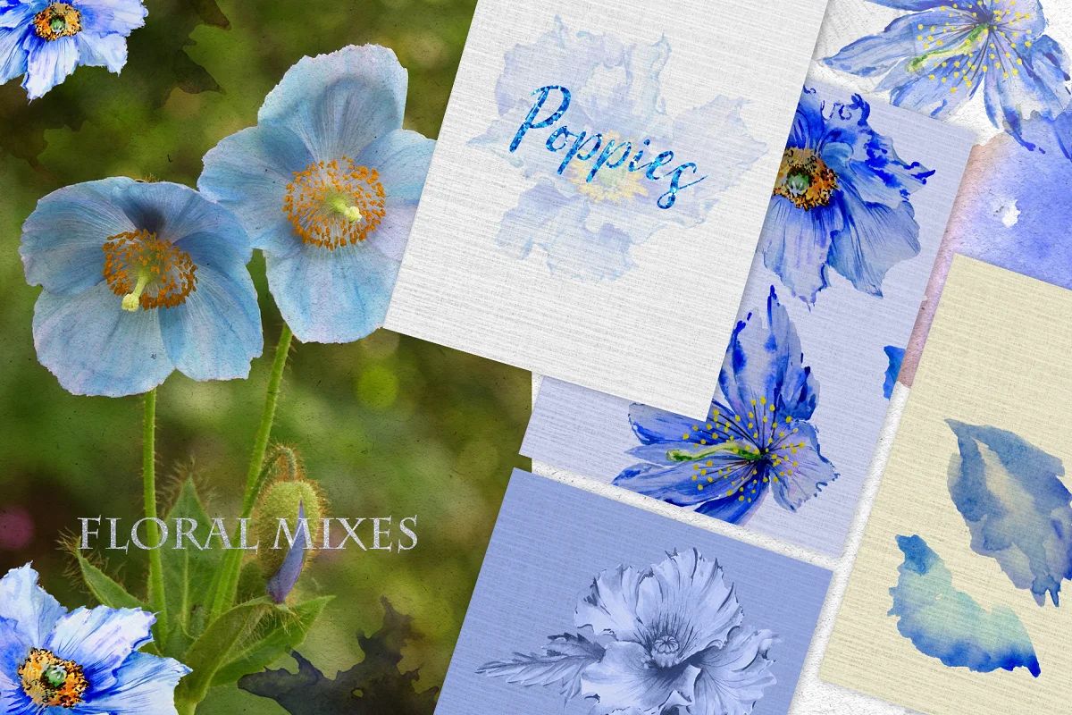 کلیپ آرت آبرنگی گل Blue Poppies Watercolor Png