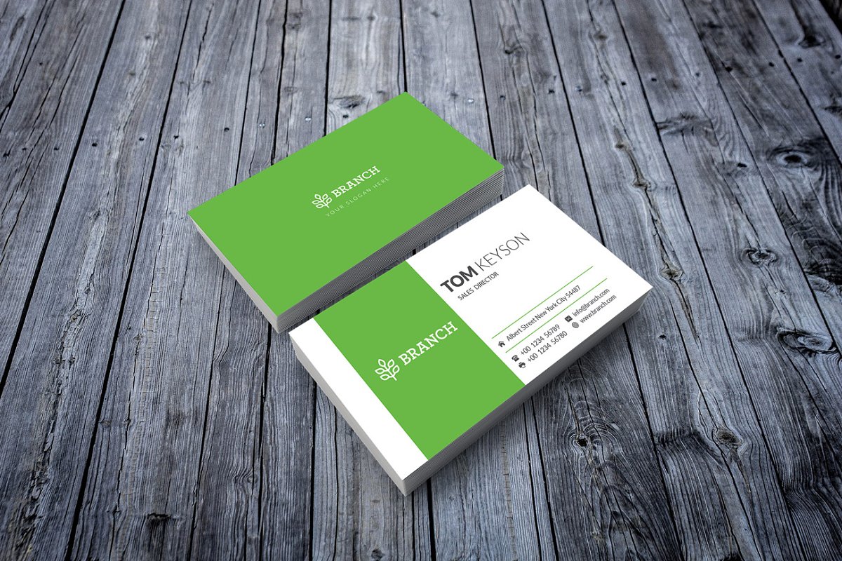 فایل لایه باز کارت ویزیت Business Card Template / 3 Color - 5