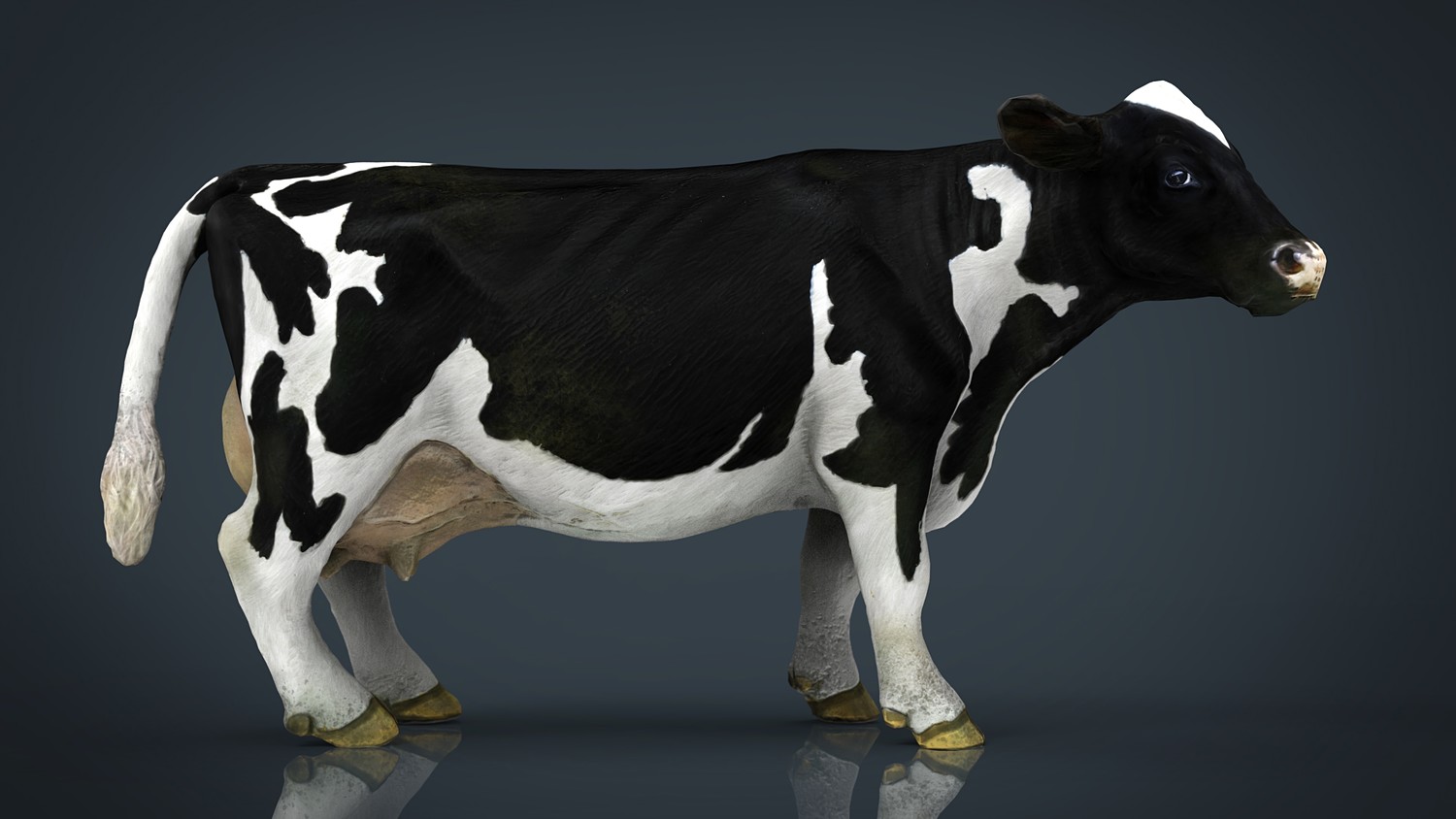 مدل سه بعدی حیوانات مزرعه - 6