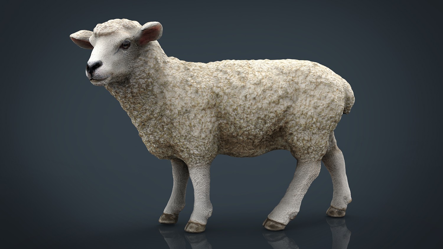 مدل سه بعدی حیوانات مزرعه - 12