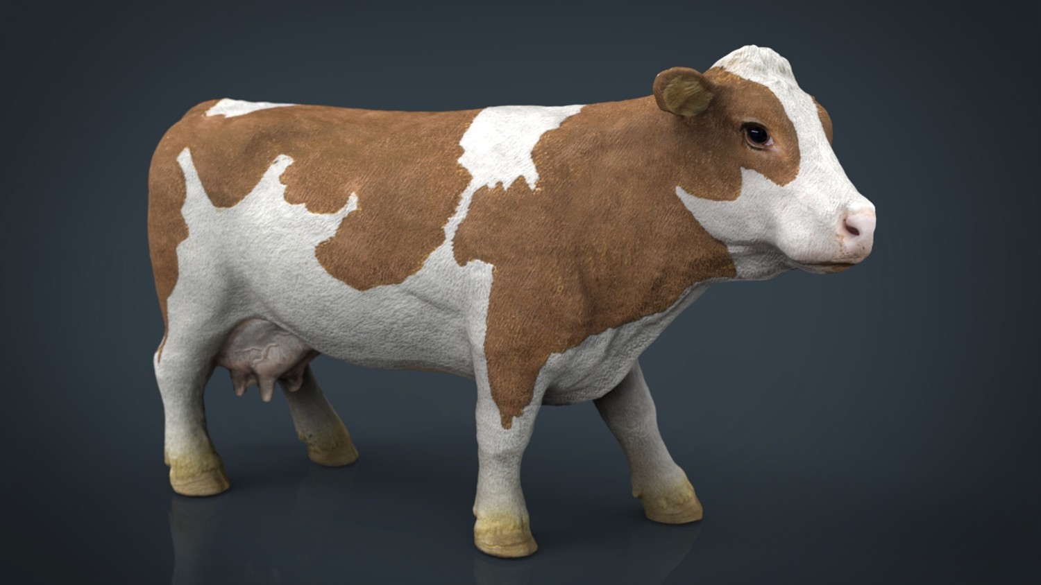 مدل سه بعدی حیوانات مزرعه - 18