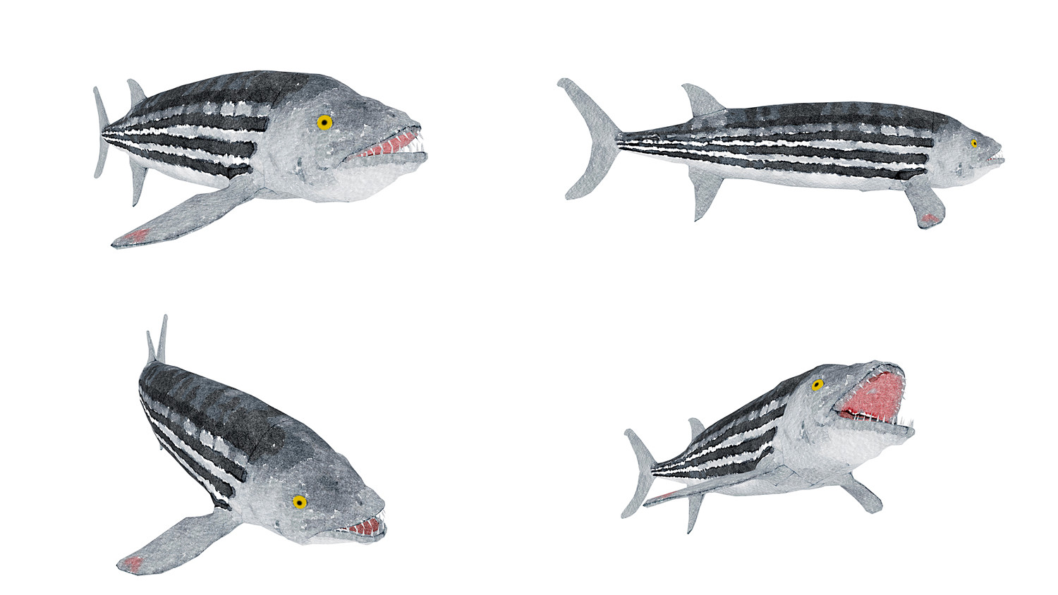 مدل سه بعدی ماهی کارتونی انیمیت شده - 6