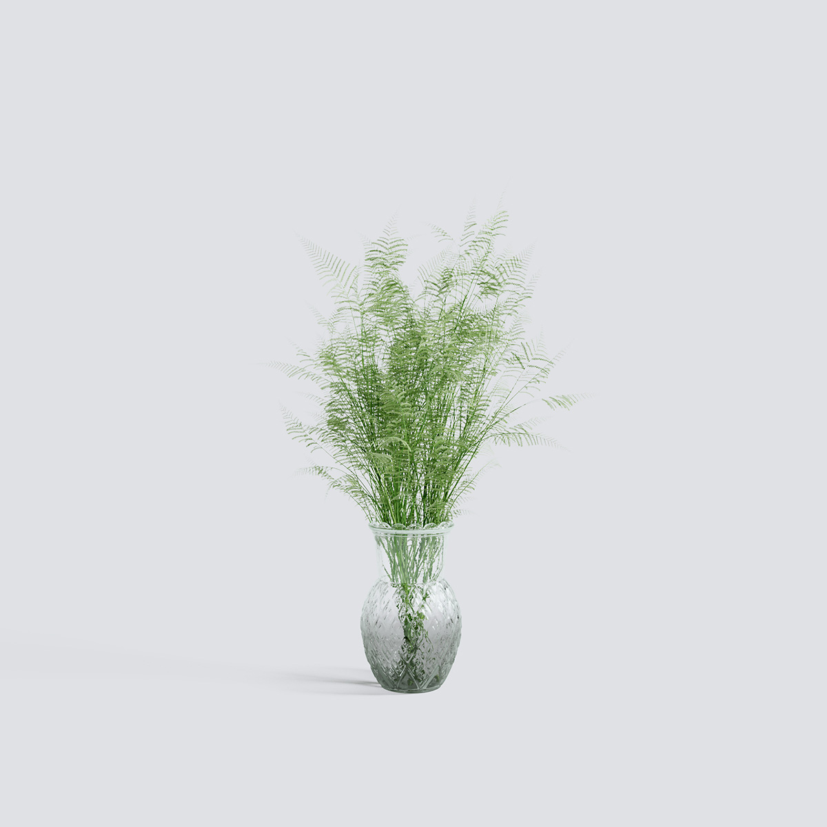 مدل سه بعدی گل و گیاهان آپارتمانی - 3