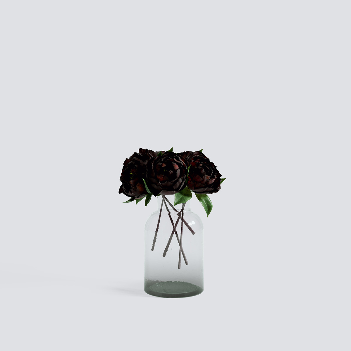 مدل سه بعدی گل و گیاهان آپارتمانی - 5