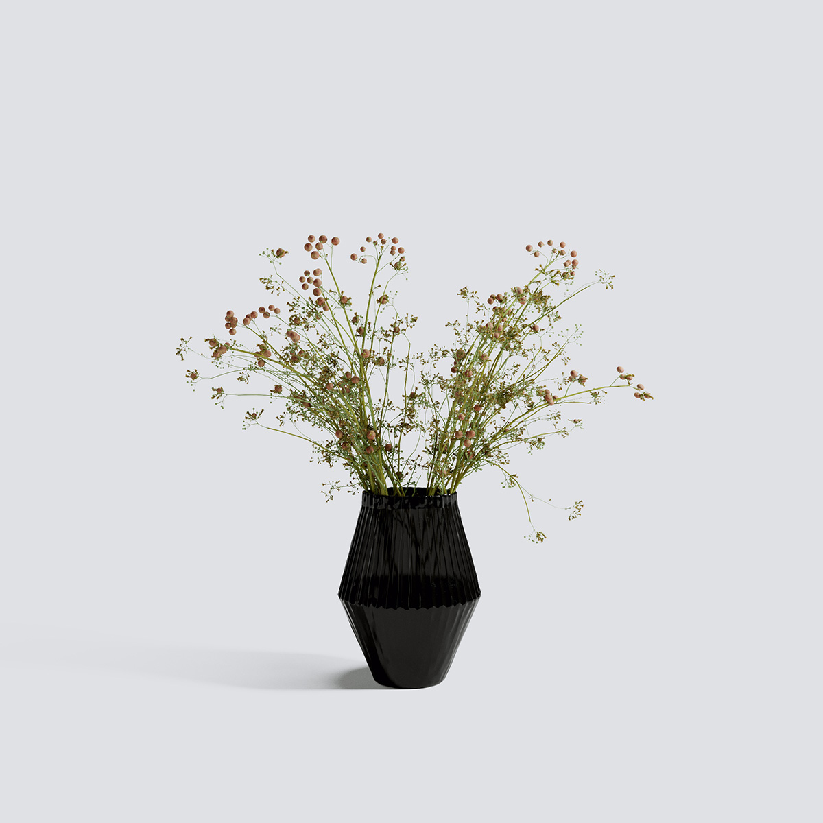 مدل سه بعدی گل و گیاهان آپارتمانی - 9