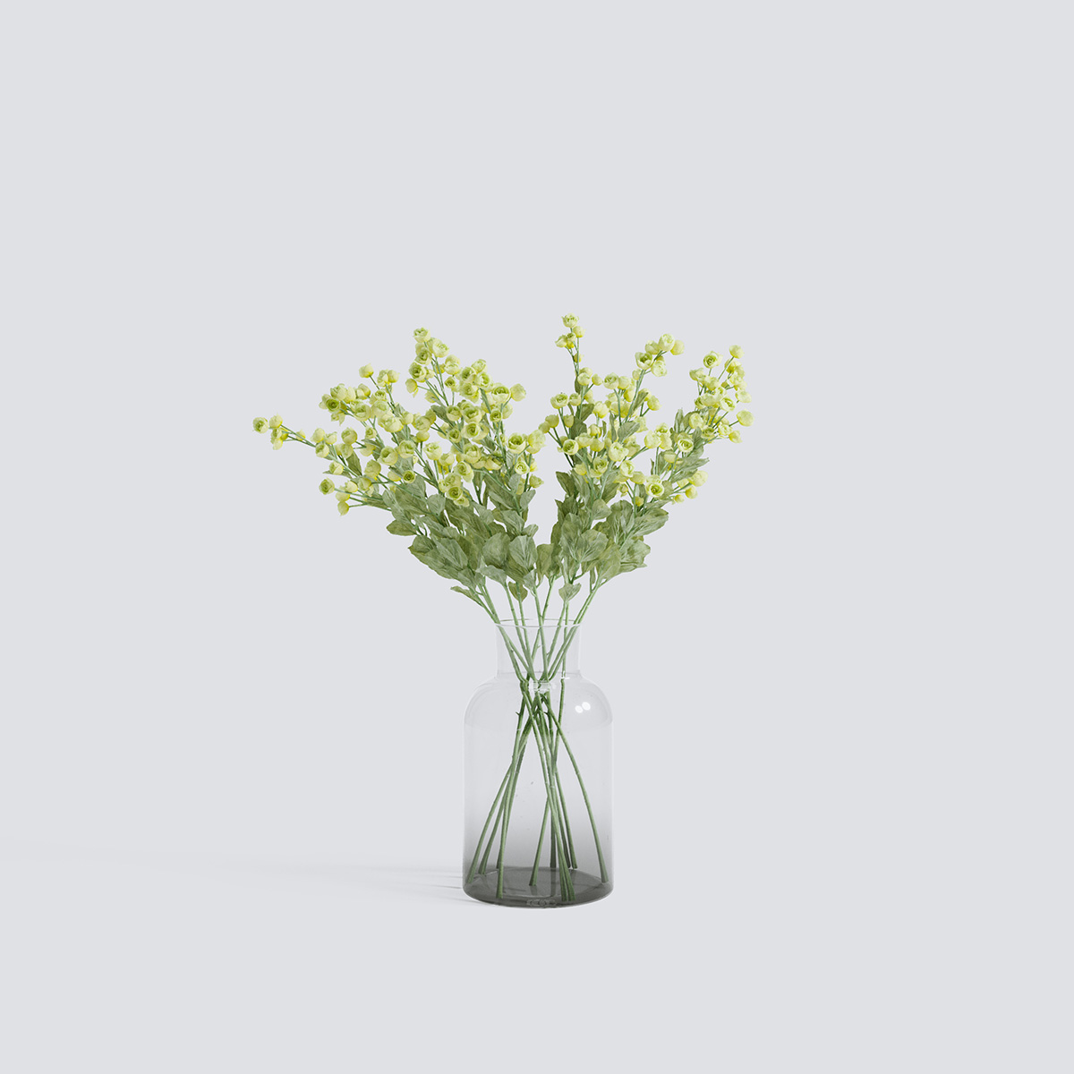 مدل سه بعدی گل و گیاهان آپارتمانی - 11