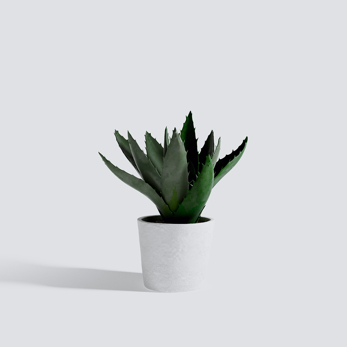 مدل سه بعدی گل و گیاهان آپارتمانی - 13