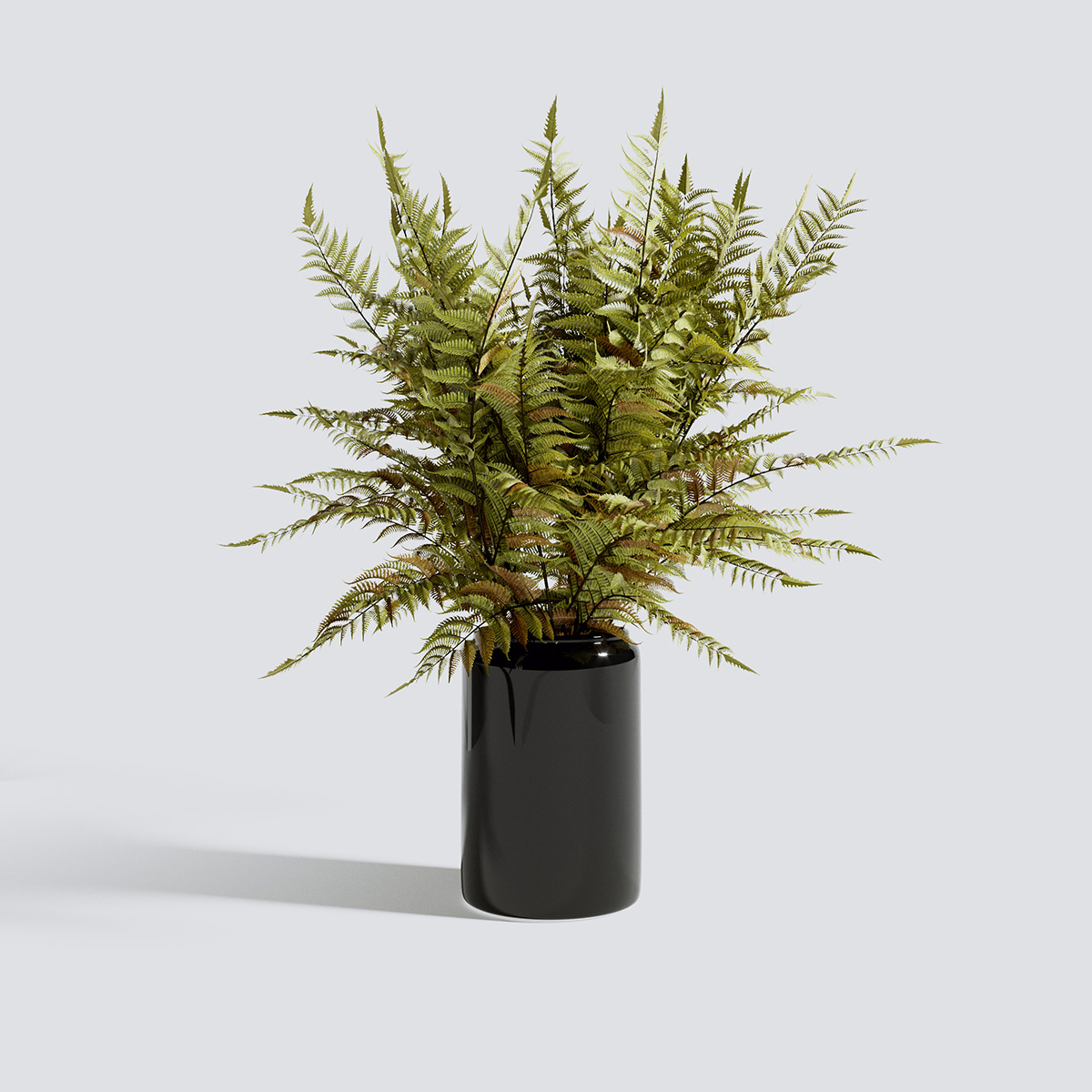 مدل سه بعدی گل و گیاهان آپارتمانی - 15