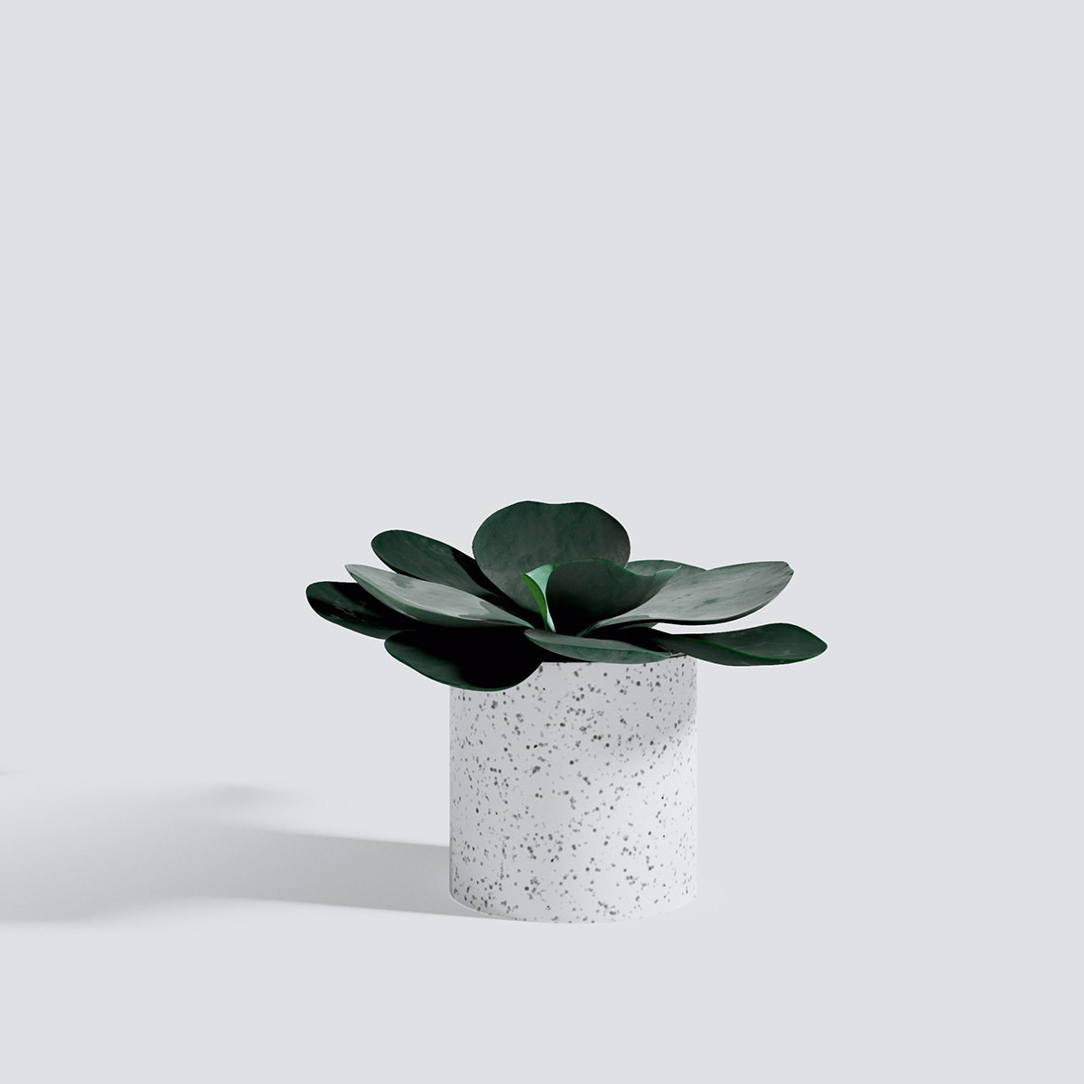 مدل سه بعدی گل و گیاهان آپارتمانی - 17