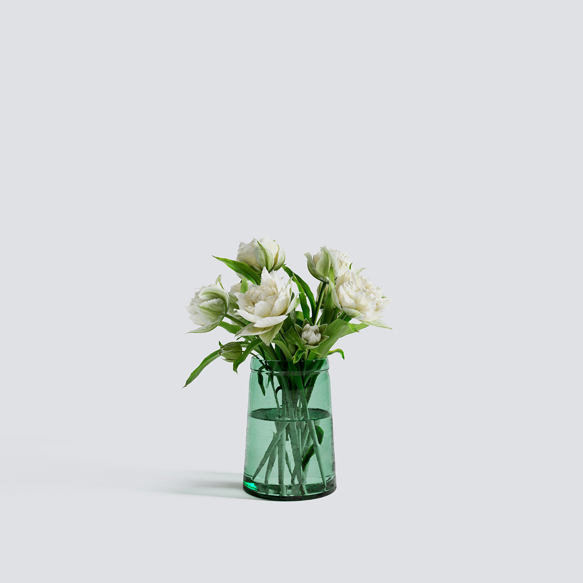 مدل سه بعدی گل و گیاهان آپارتمانی - 25