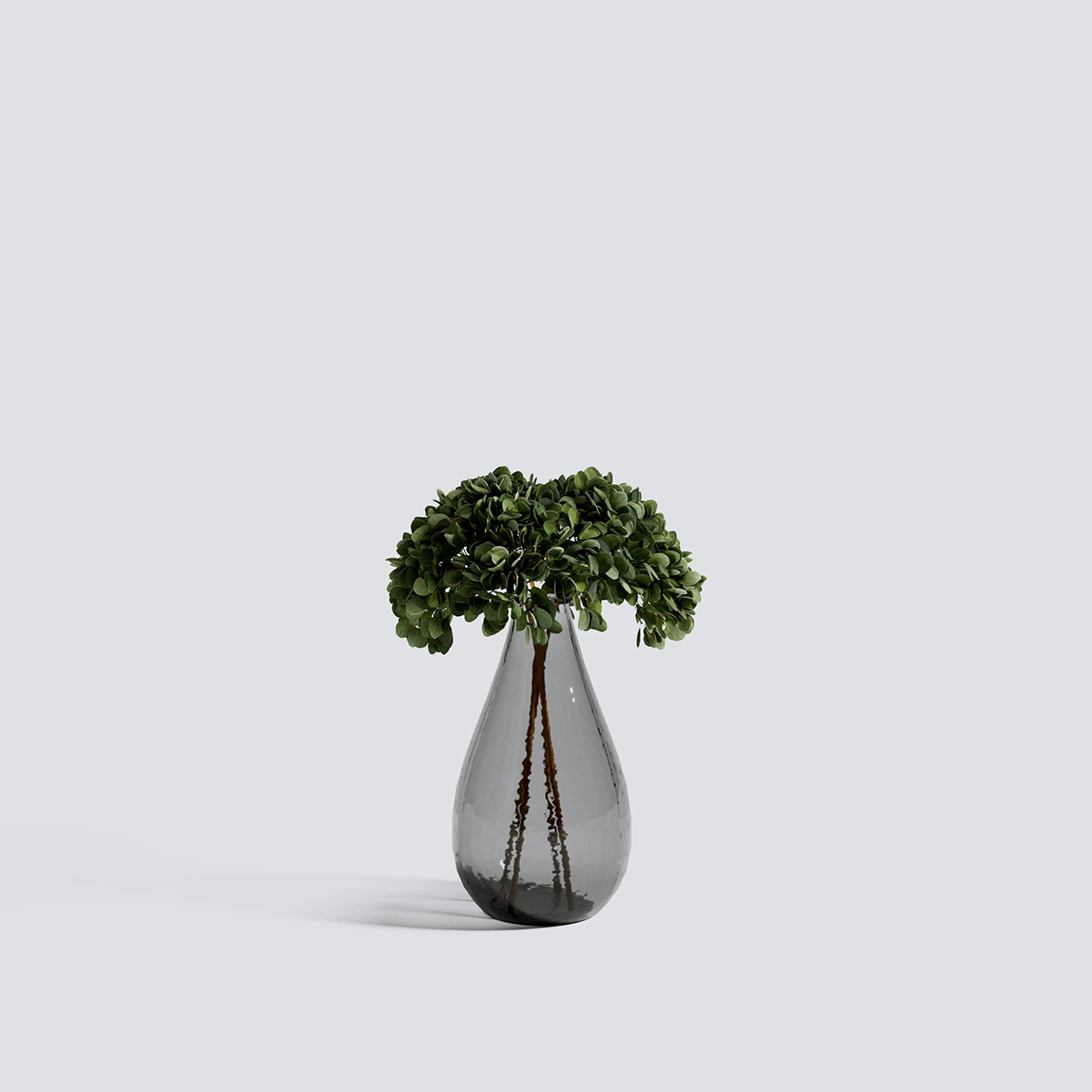 مدل سه بعدی گل و گیاهان آپارتمانی - 31