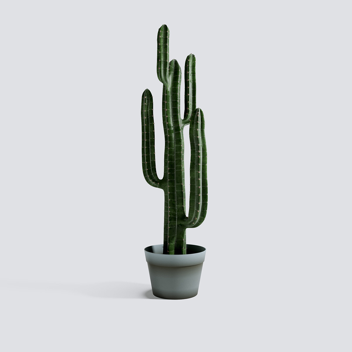 مدل سه بعدی گل و گیاهان آپارتمانی - 35