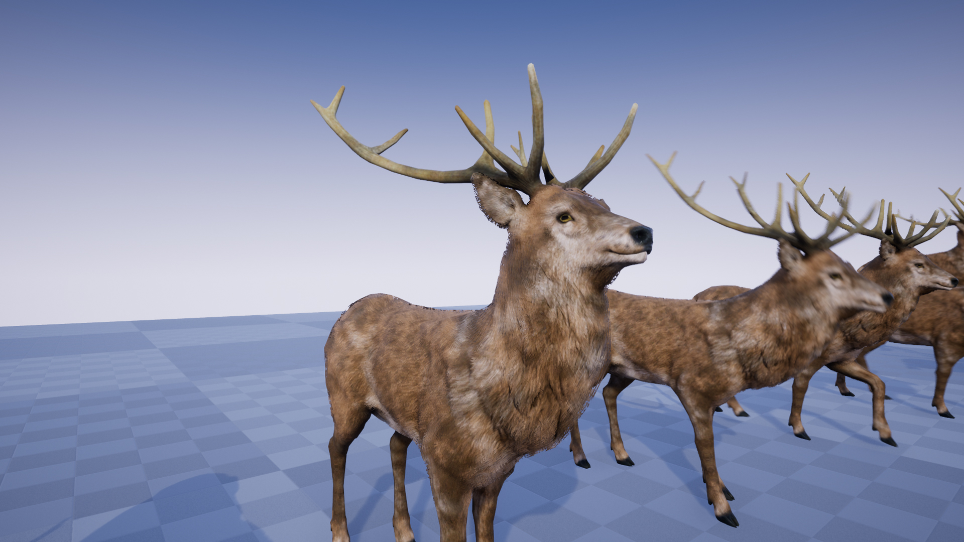 مدل سه بعدی حیوانات جنگل برای آنریل انجین - 4