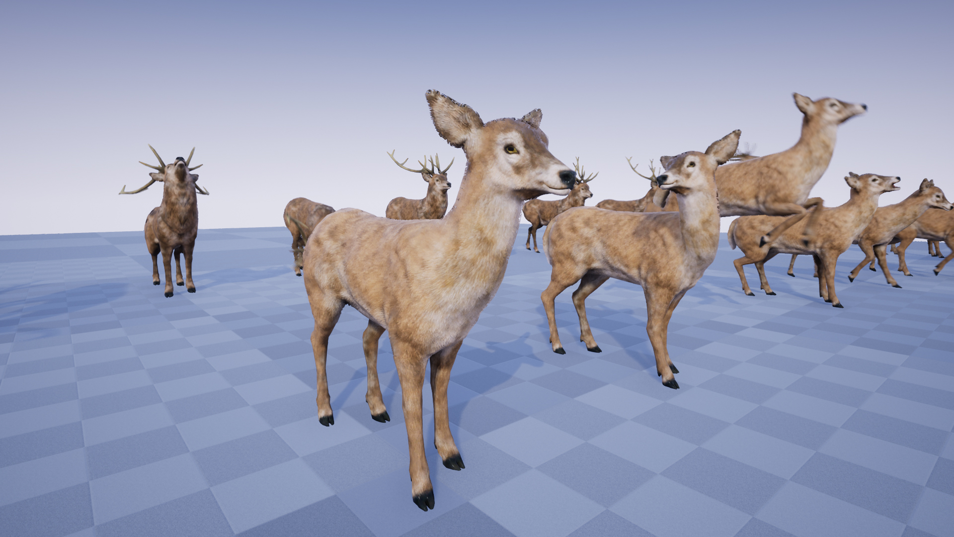 مدل سه بعدی حیوانات جنگل برای آنریل انجین - 6