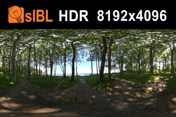 تصاویر HDRI محیط جنگلی
