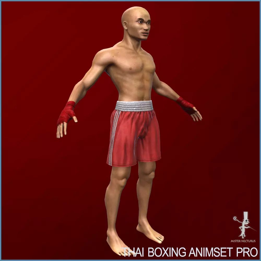 پروژه Muay Thai Animset Pro برای یونیتی - 3