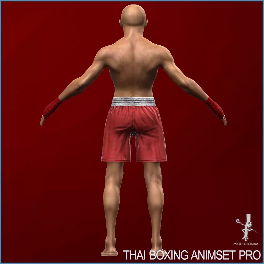 پروژه Muay Thai Animset Pro برای یونیتی - 5