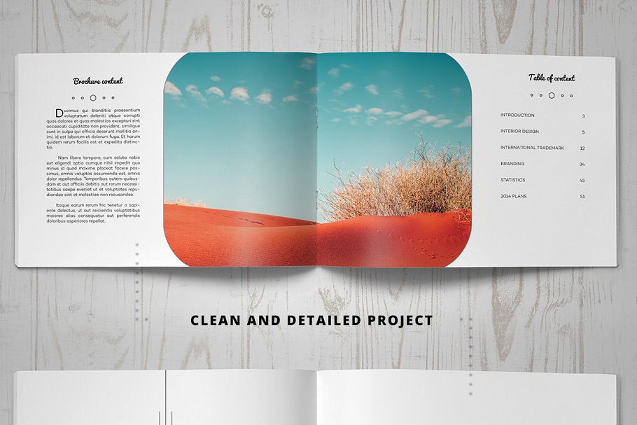 قالب ایندیزاین بروشور Multipurpose Clean Brochure - 3