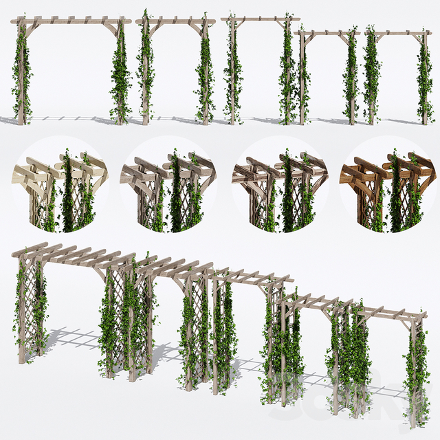 دانلود 70 مدل سه بعدی گل و گیاه زینتی