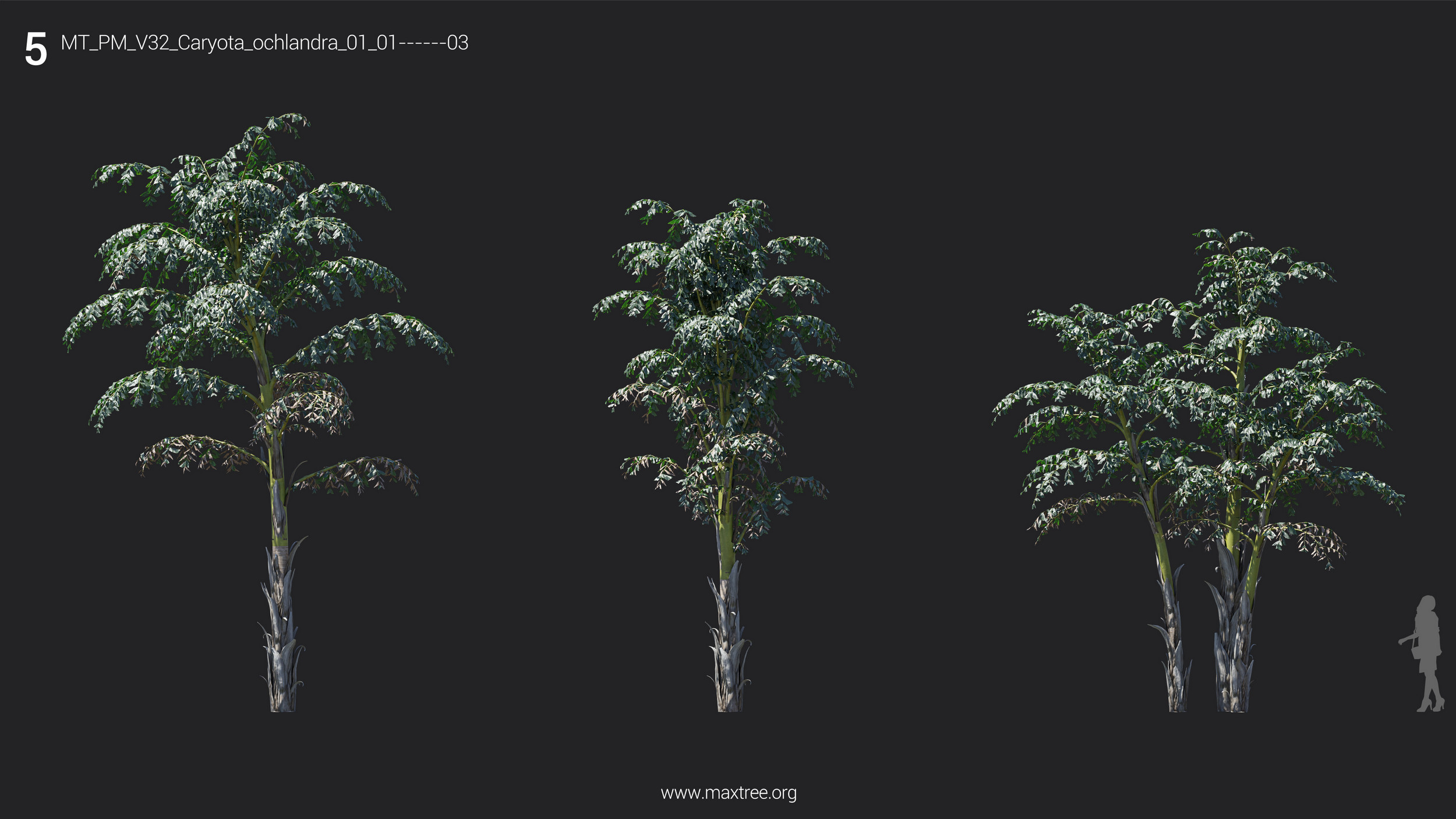 مدل سه بعدی درخت و درختچه - 7