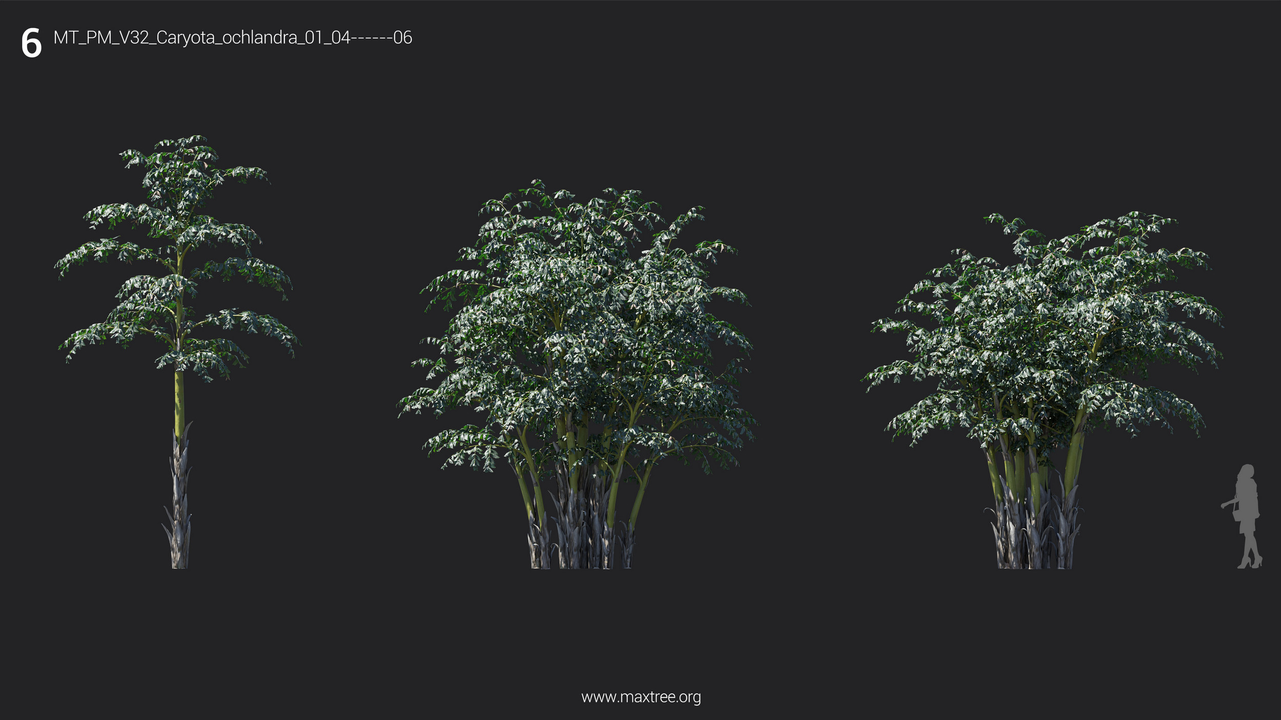 مدل سه بعدی درخت و درختچه - 9