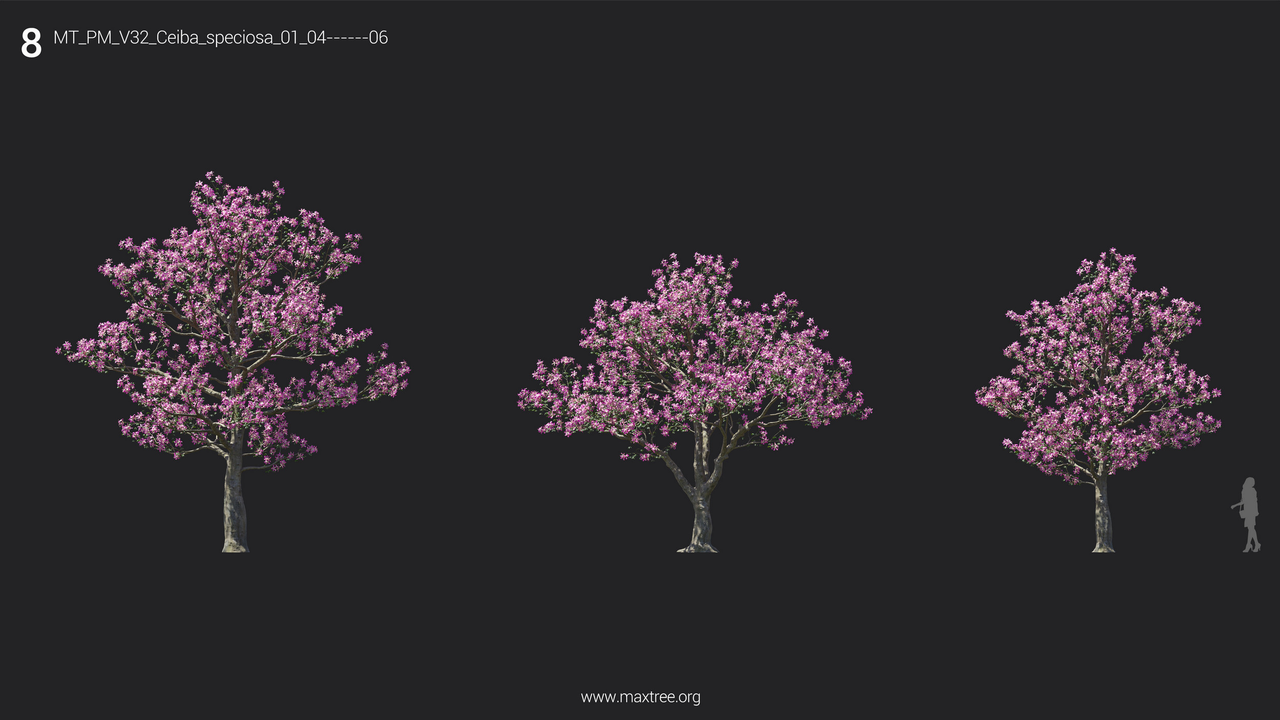 مدل سه بعدی درخت و درختچه - 13