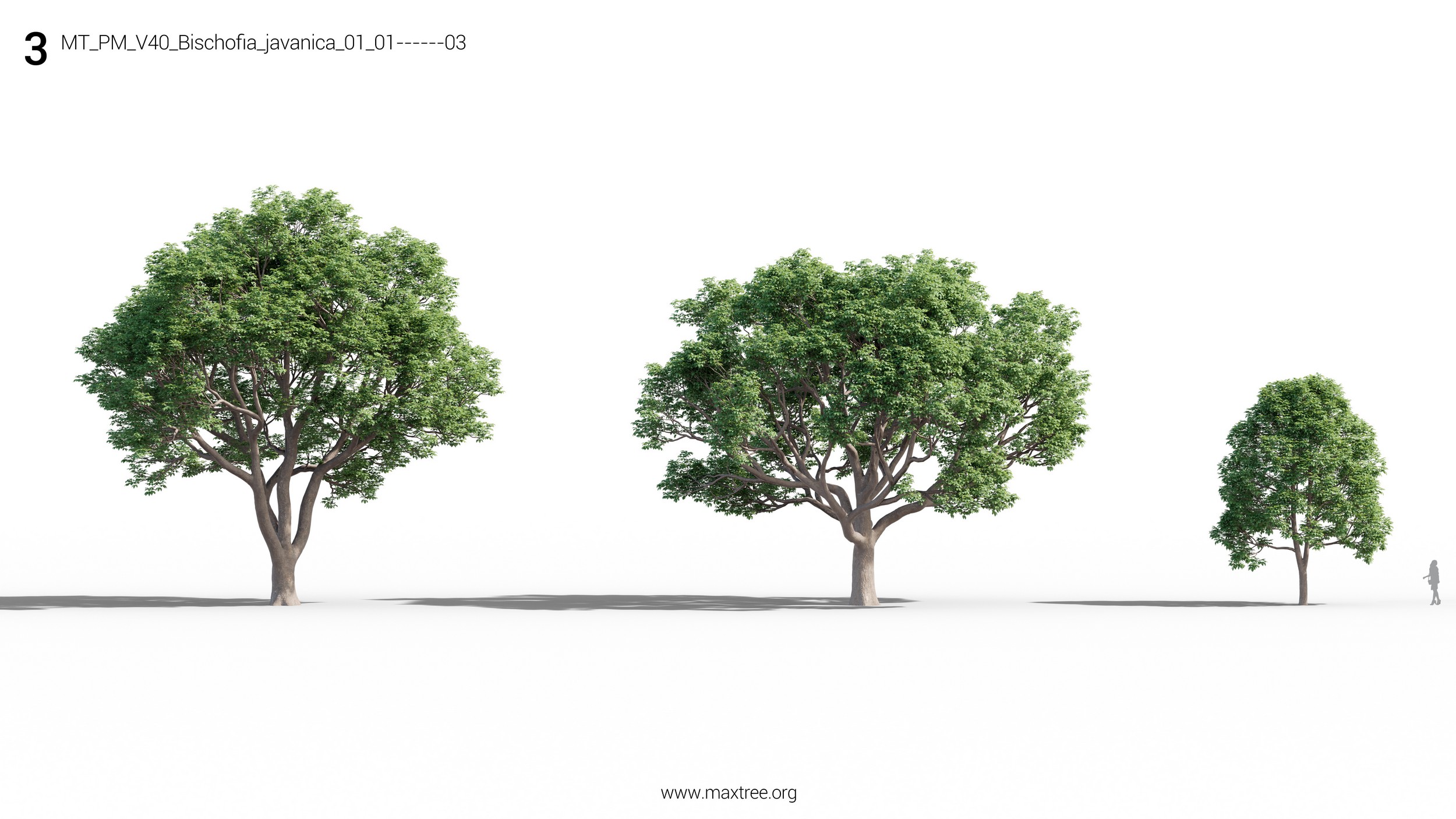مدل سه بعدی درخت و بوته - 4