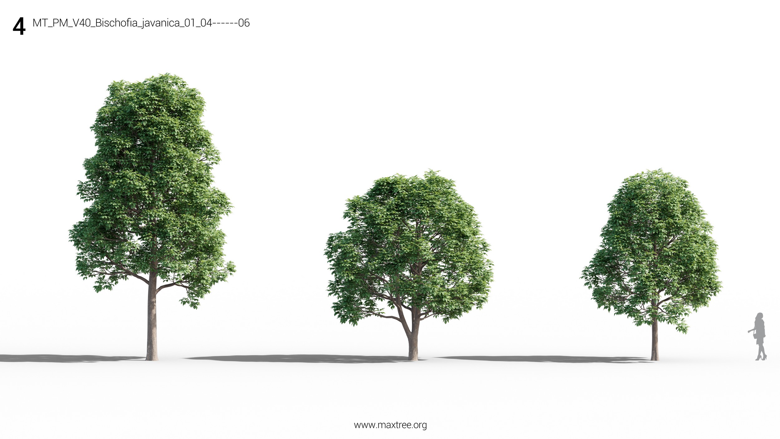مدل سه بعدی درخت و بوته - 6