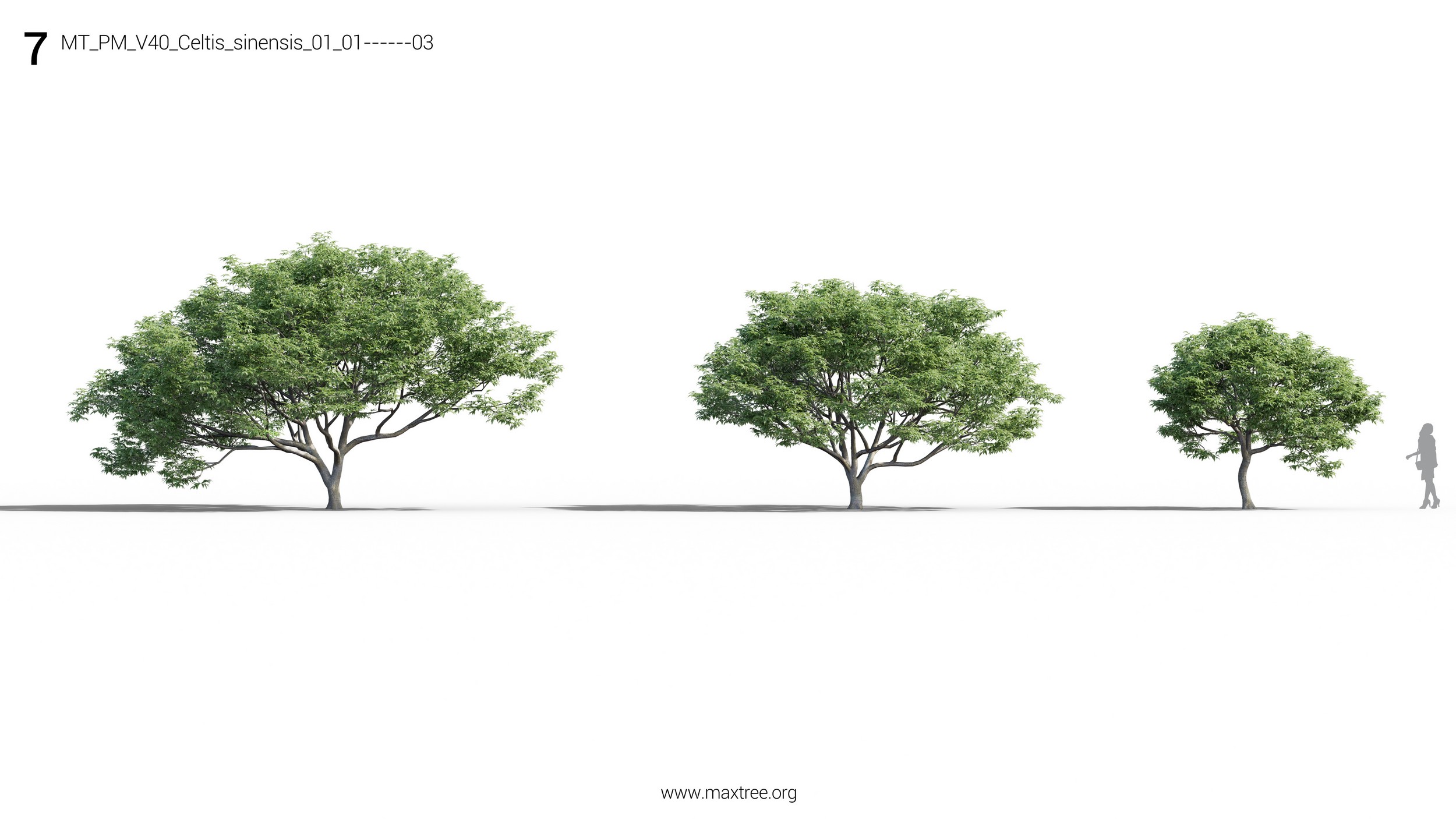 مدل سه بعدی درخت و بوته - 12