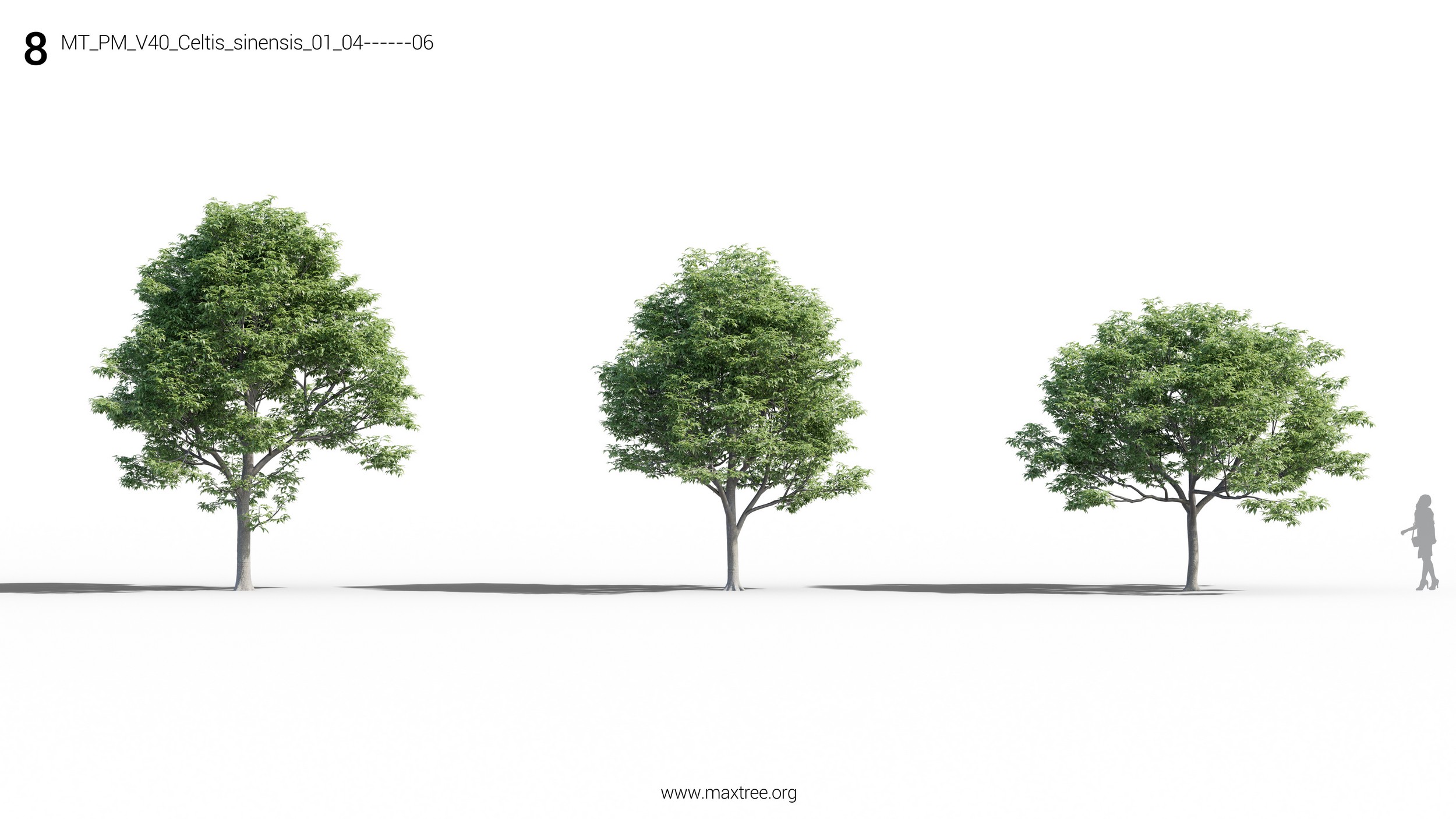 مدل سه بعدی درخت و بوته - 14