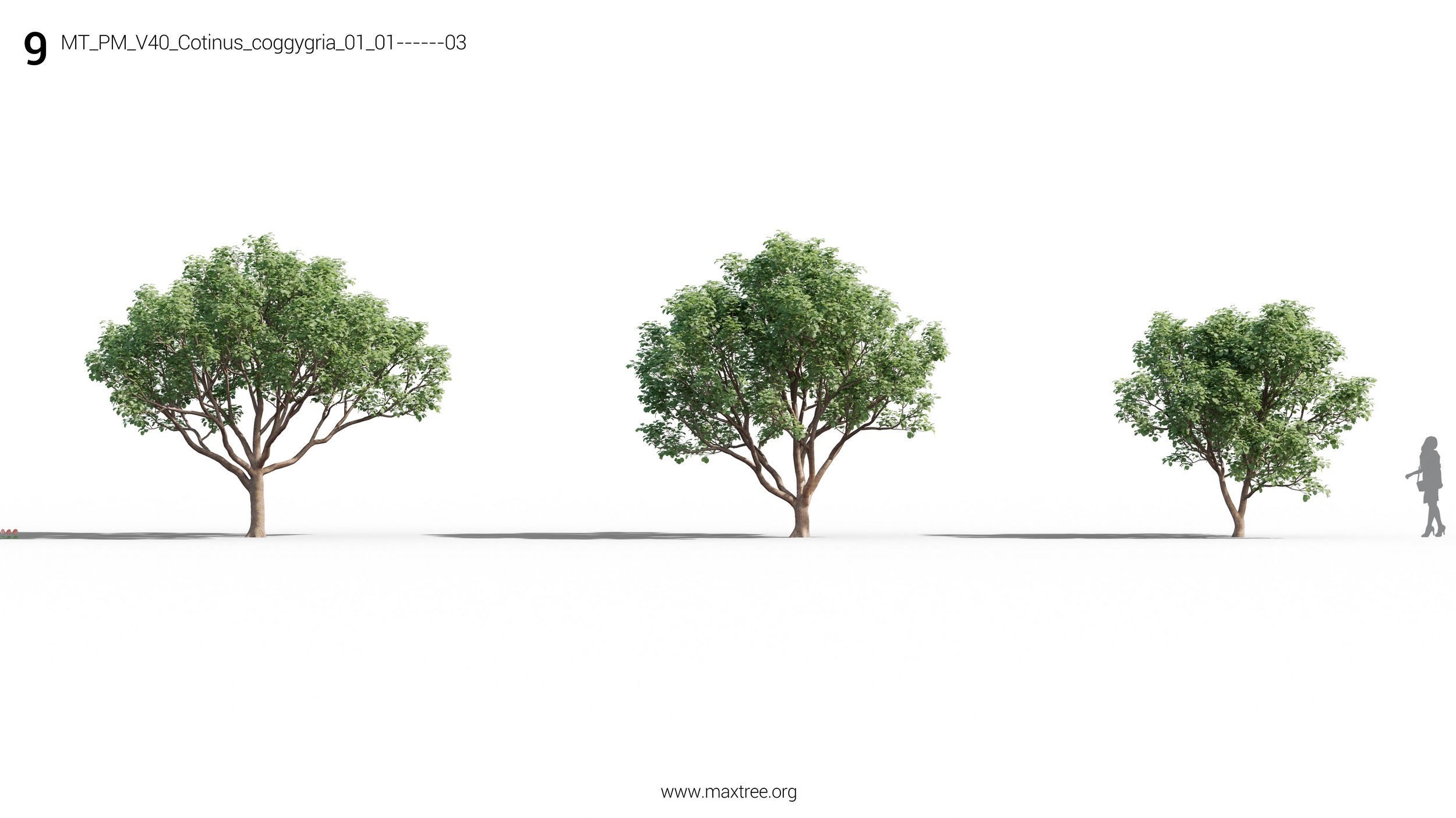 مدل سه بعدی درخت و بوته - 16