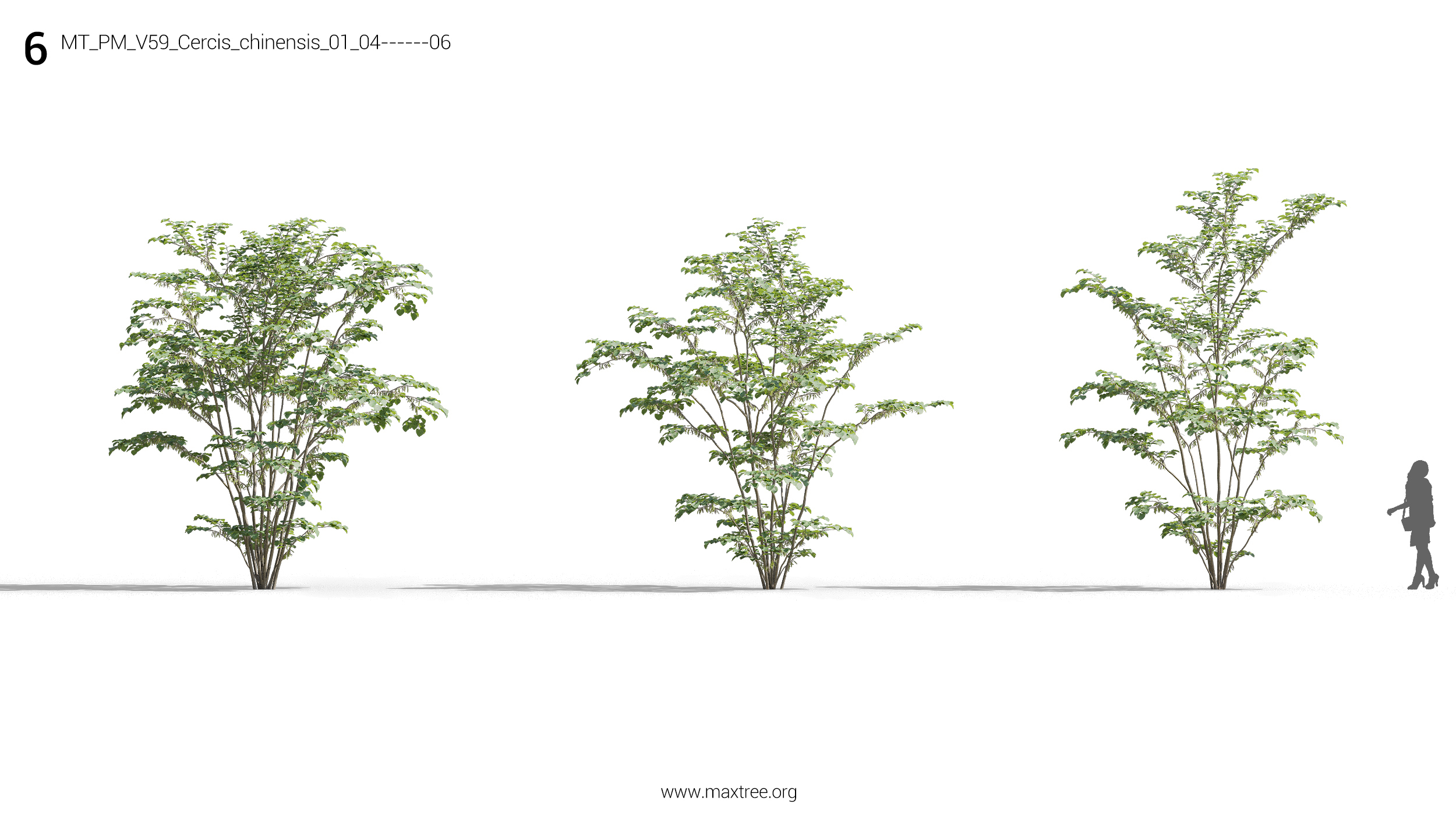 مدل سه بعدی درختچه و درخت - 10