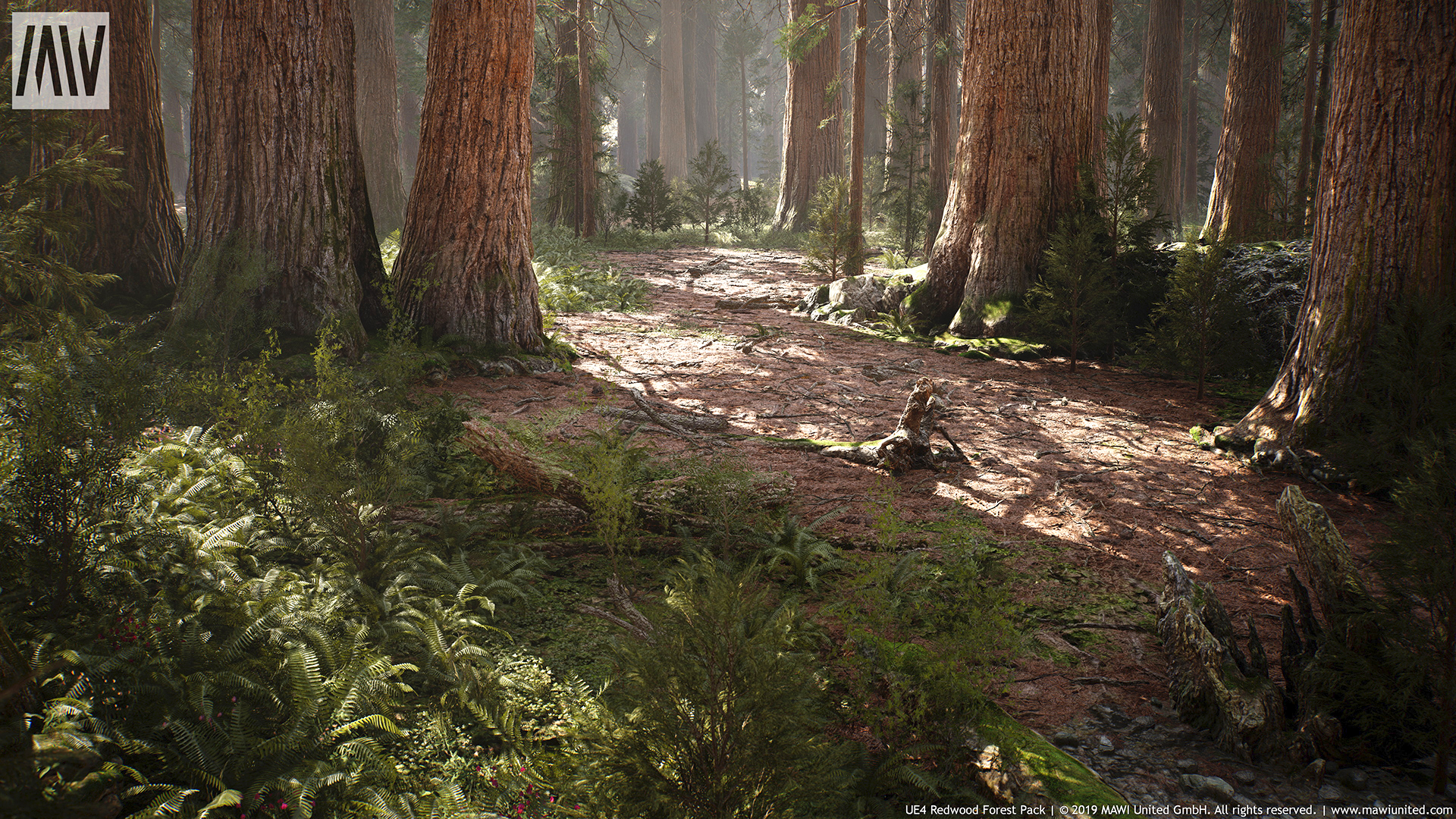 جنگل Redwood برای آنریل انجین - 5
