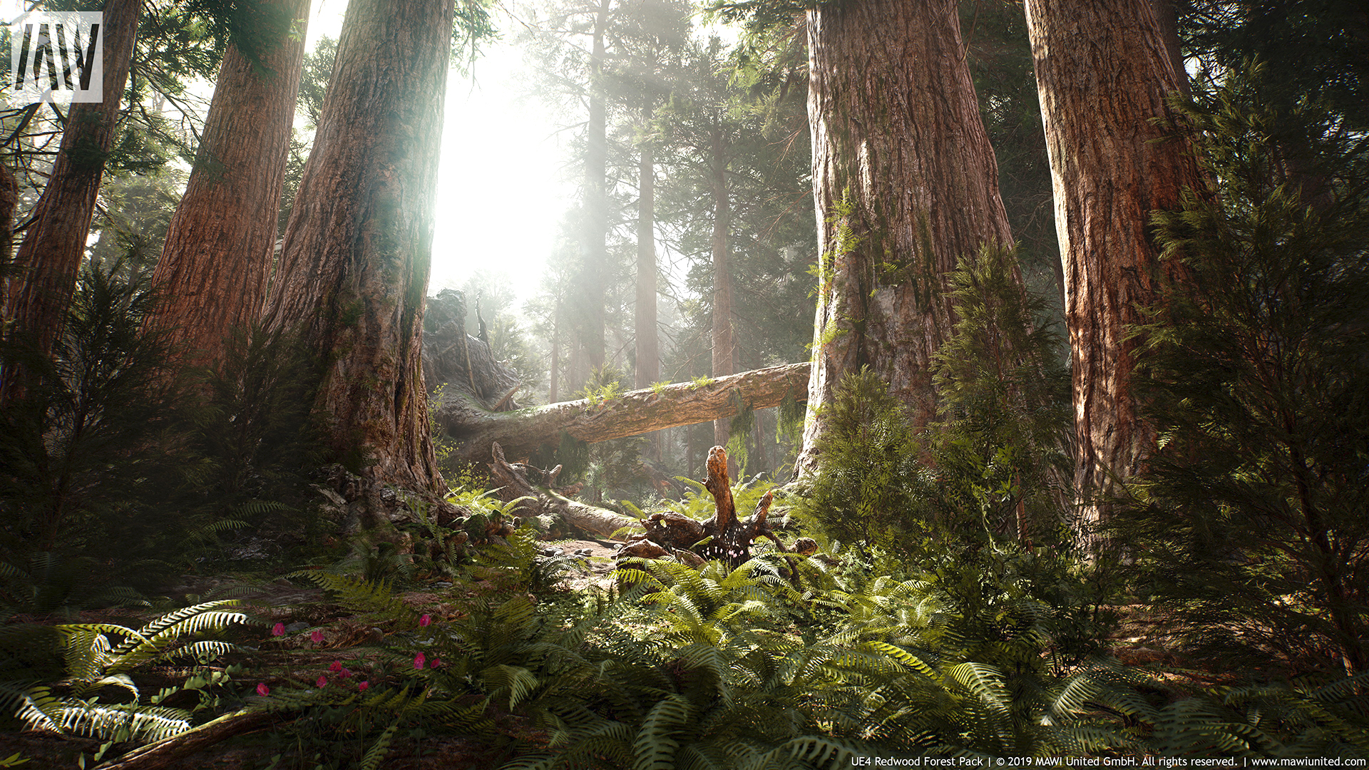 جنگل Redwood برای آنریل انجین - 9