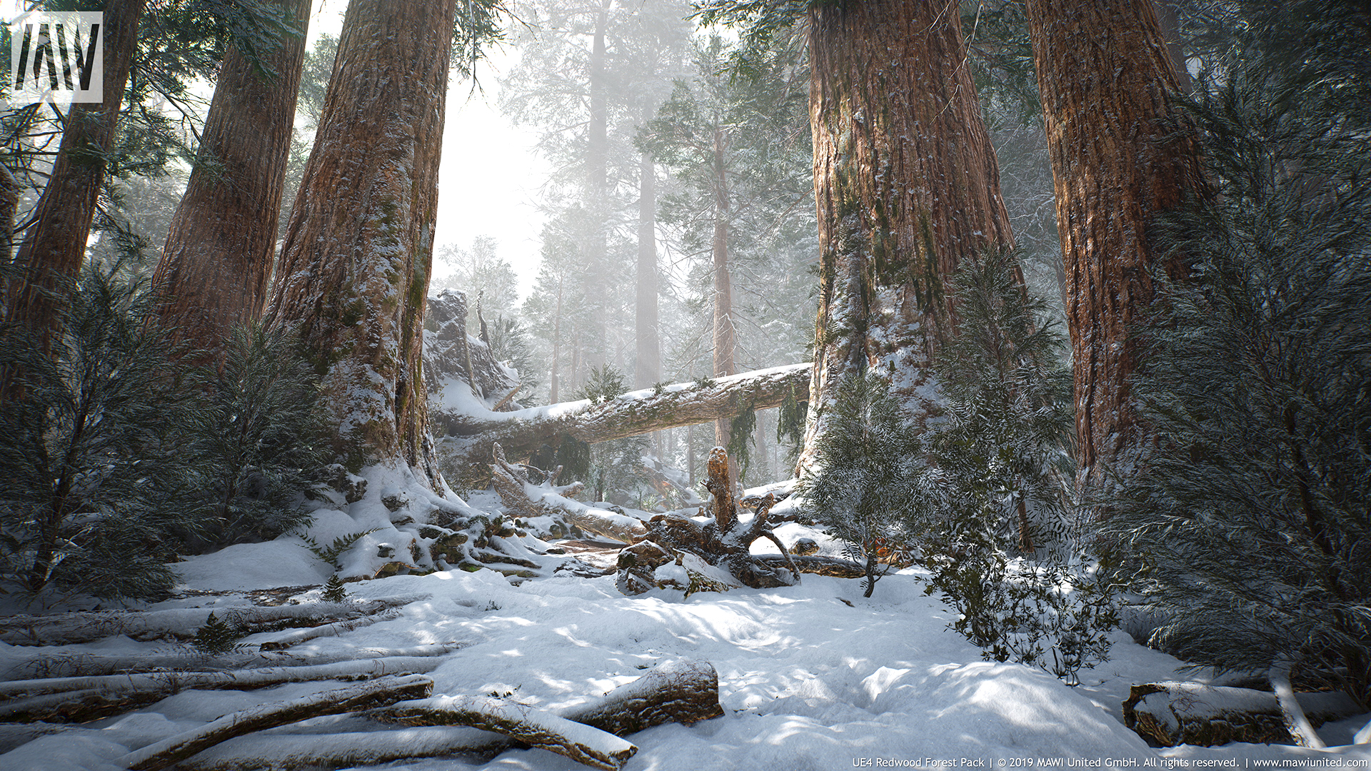 جنگل Redwood برای آنریل انجین - 11