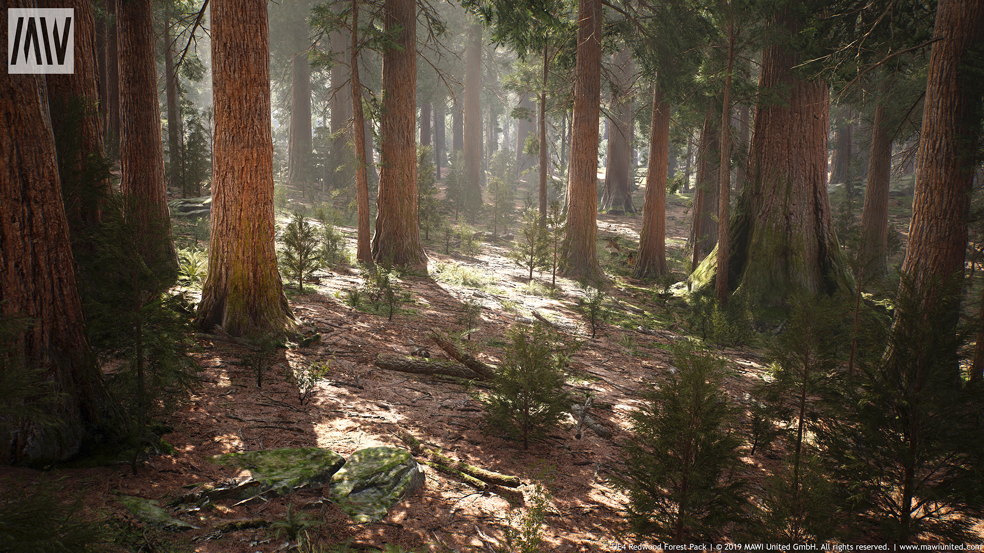 جنگل Redwood برای آنریل انجین - 1