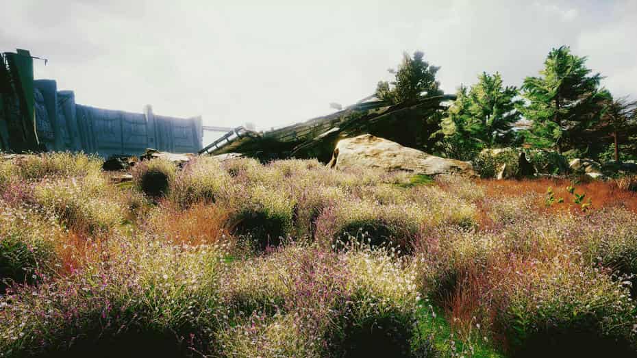 چمنزار برای یونیتی - 19