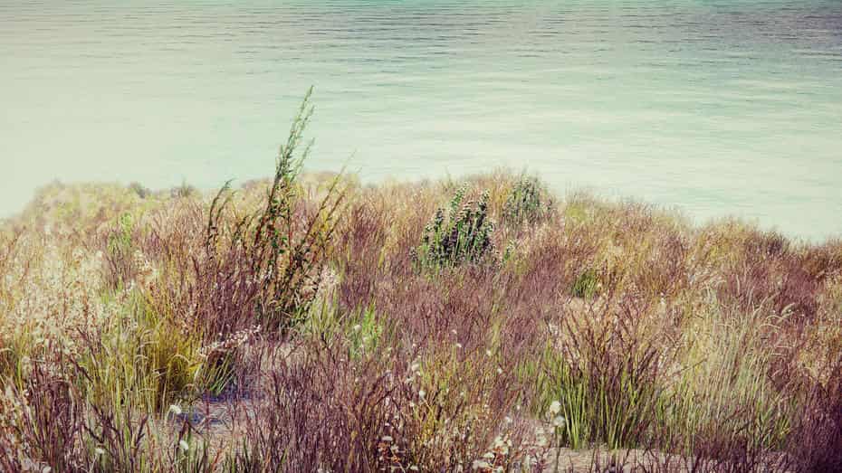 چمنزار برای یونیتی - 35