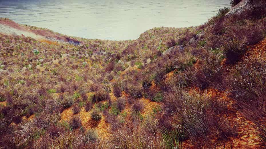 چمنزار برای یونیتی - 37