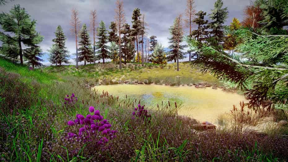 چمنزار برای یونیتی - 49