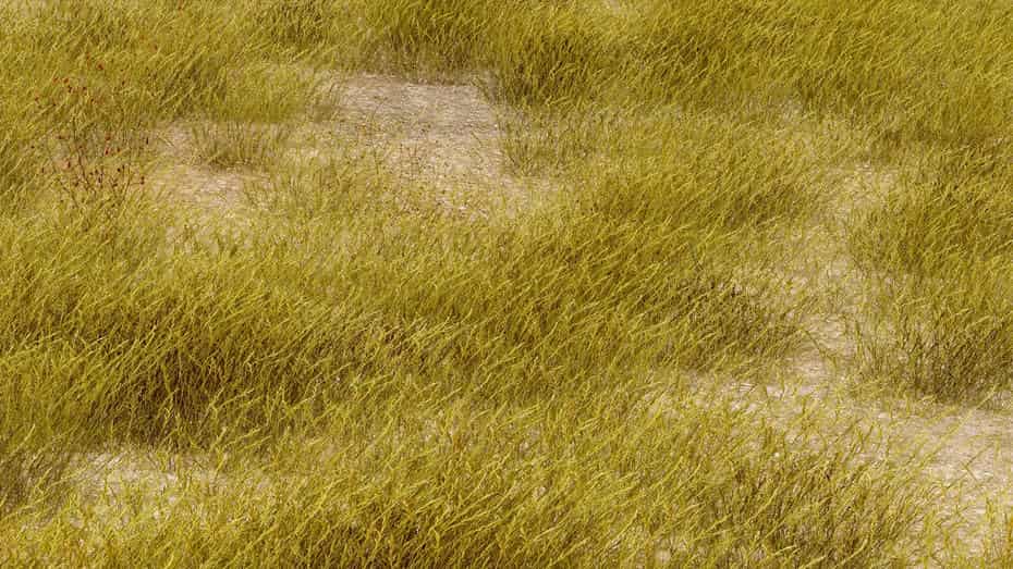 چمنزار برای یونیتی - 53