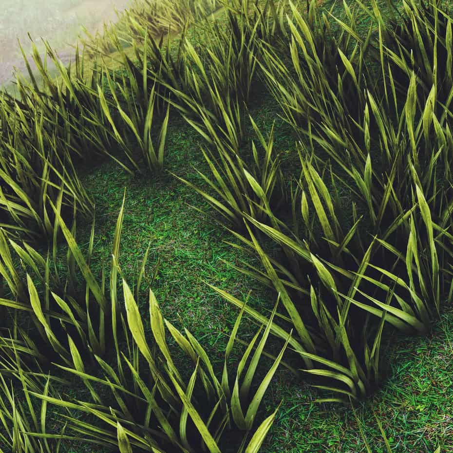چمنزار برای یونیتی - 7