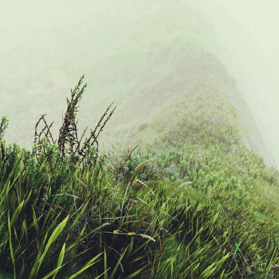 چمنزار برای یونیتی - 9