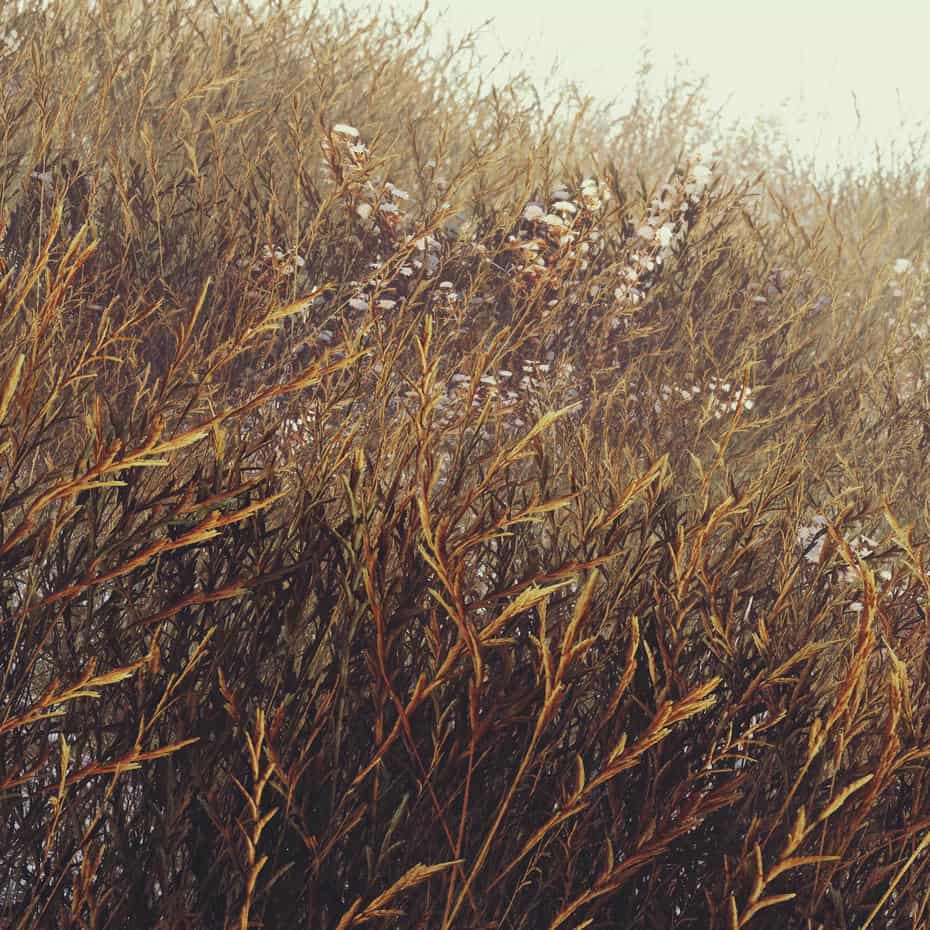 چمنزار برای یونیتی - 11
