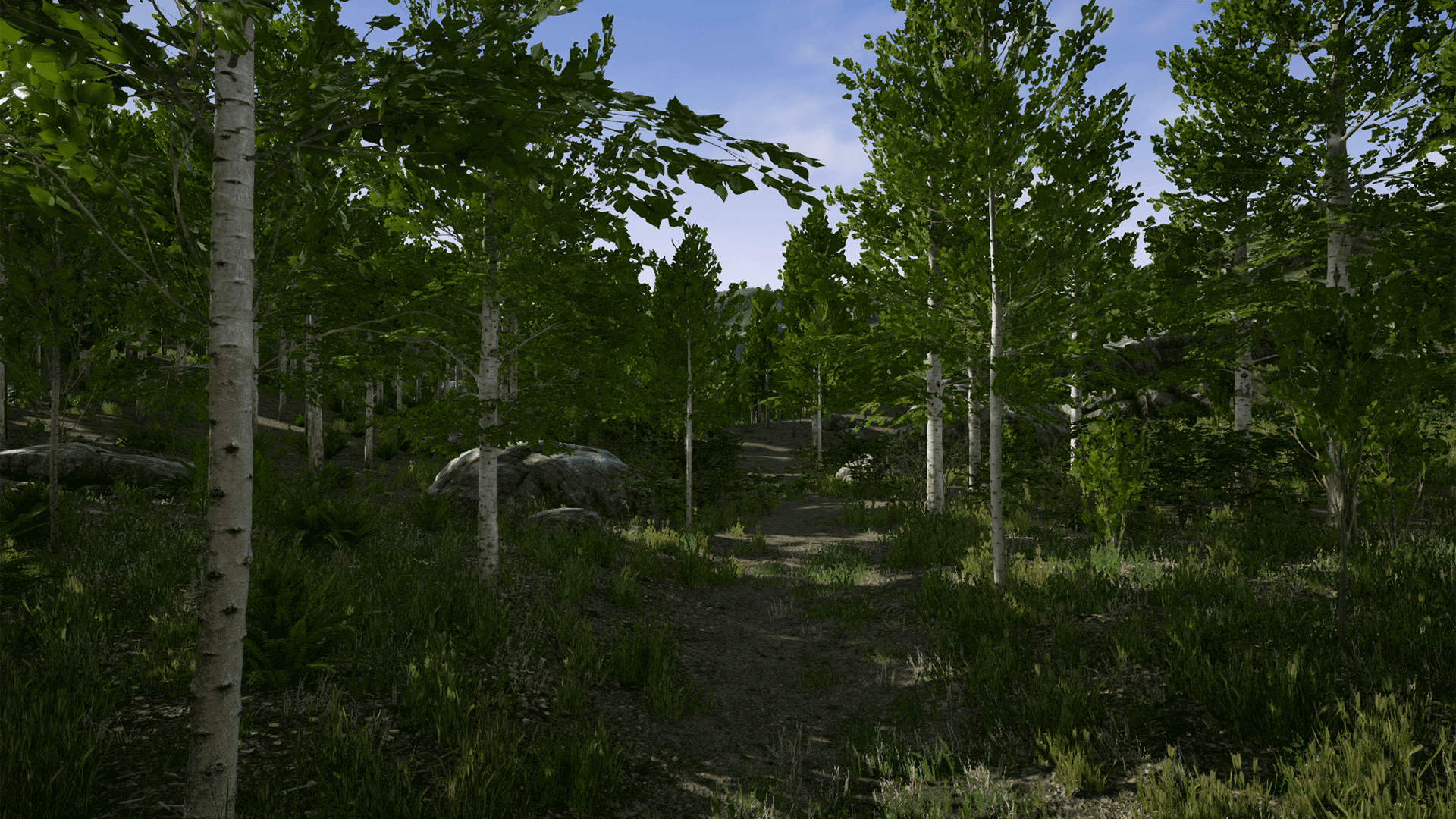 جنگل صنوبر اسکن شده برای آنریل انجین - 19